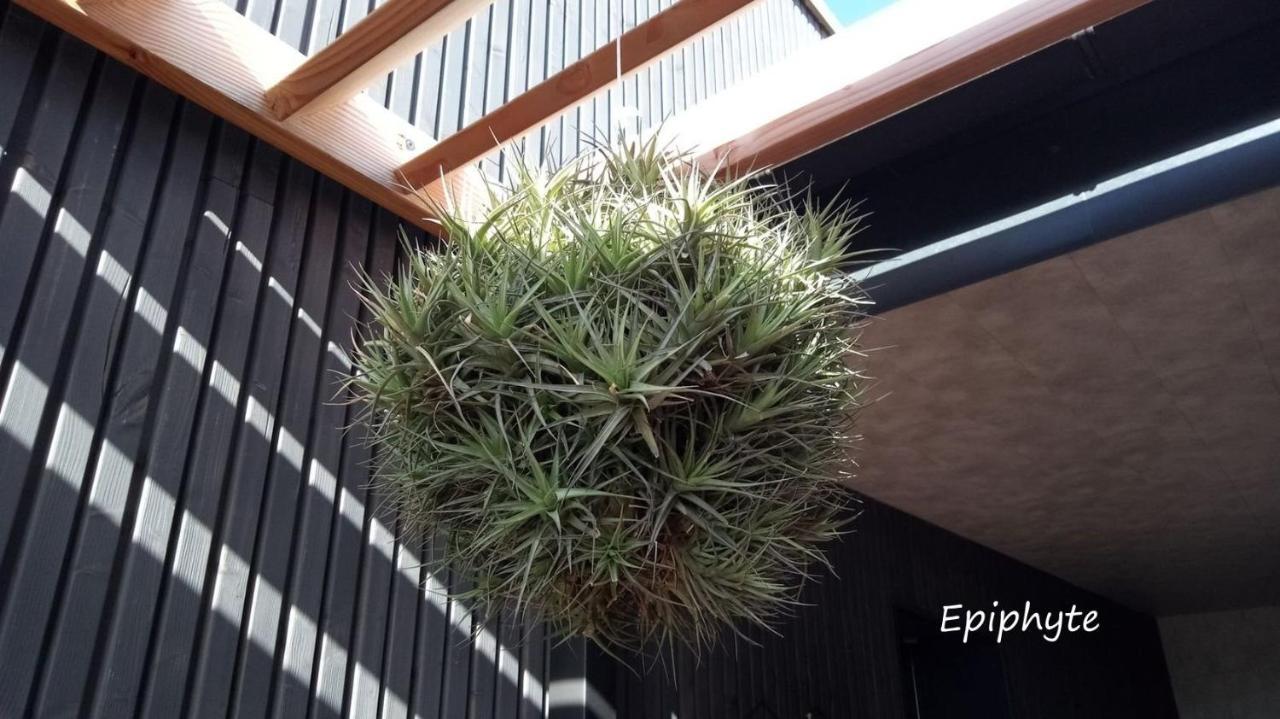 Epiphytes Et Succulentes Appartement Paimpol Buitenkant foto